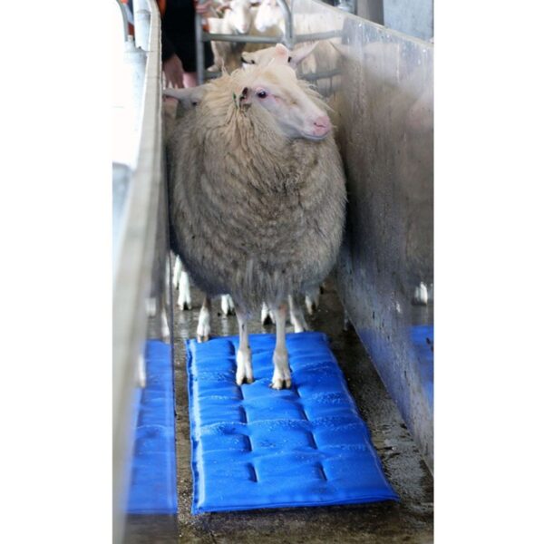 Shoof Premium Sheepmat