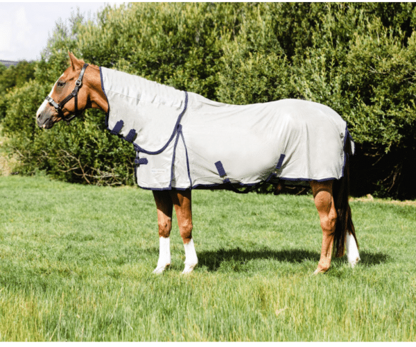 Equisential Fly Rug