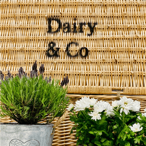 Dairy & Co Homeware & Gifts