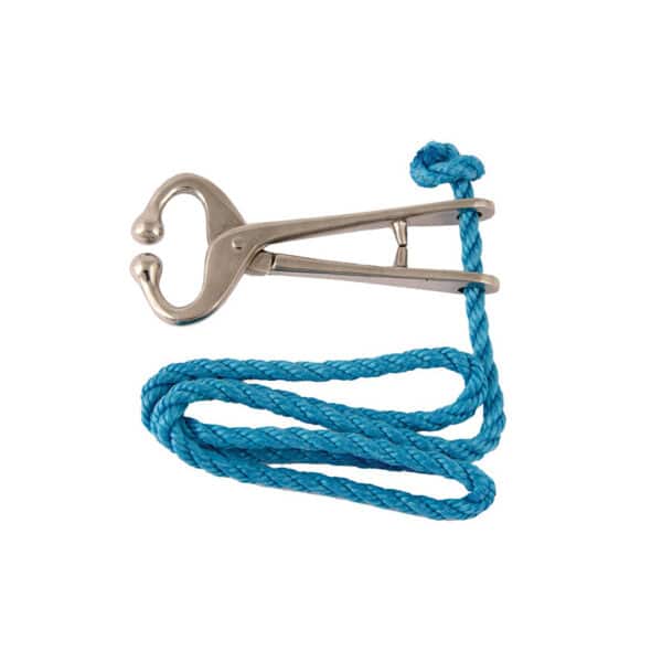 Bull holder with rope