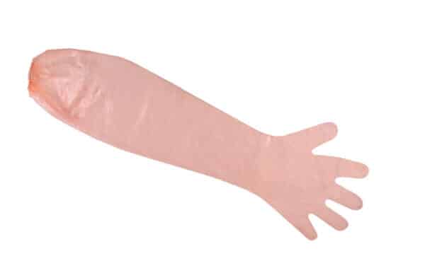 Armlength shoulder gloves with elastic cuff - box 50