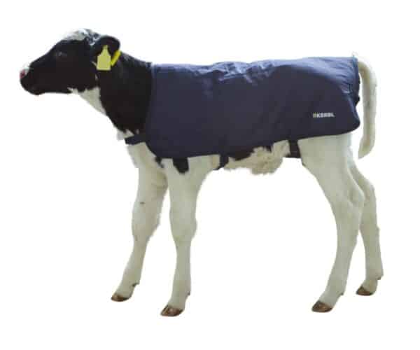 Kerbl Calf Coat EasyWear