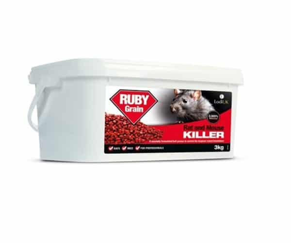 Lodi Ruby Grain
