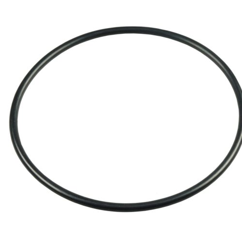 Fullwood FP66 milk pump O Ring