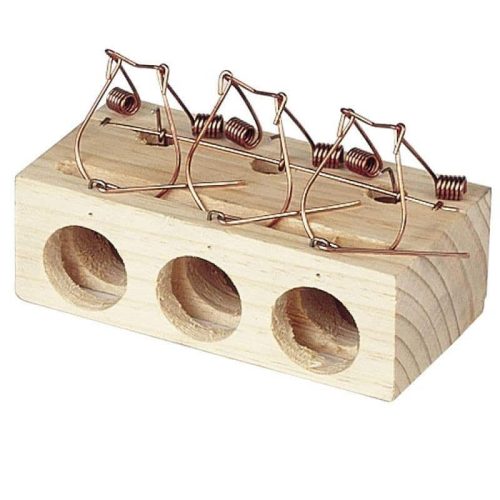 Triple Hole Mousetrap