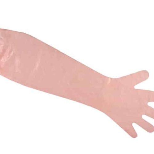 Armlength shoulder gloves with elastic cuff - box 50