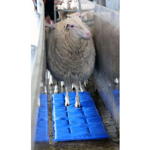 Shoof Premium Sheepmat