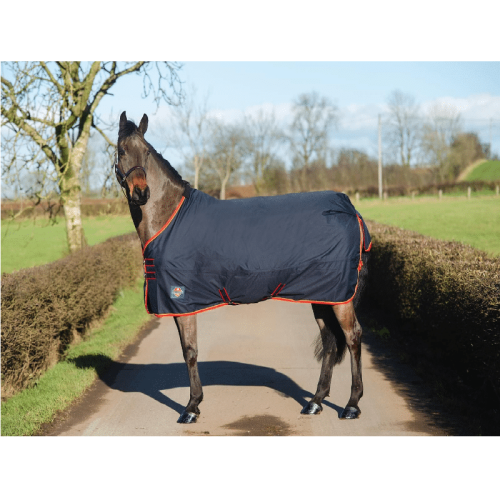 Equisential Turnout light