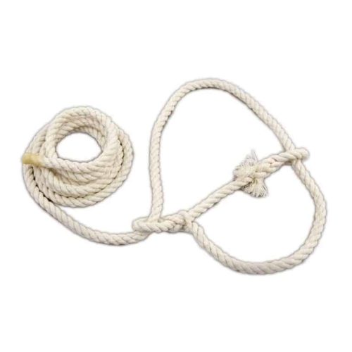 Cotton halter for sheep 1.8mtr x 8mm