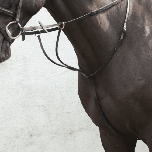 Equisential Running Martingale