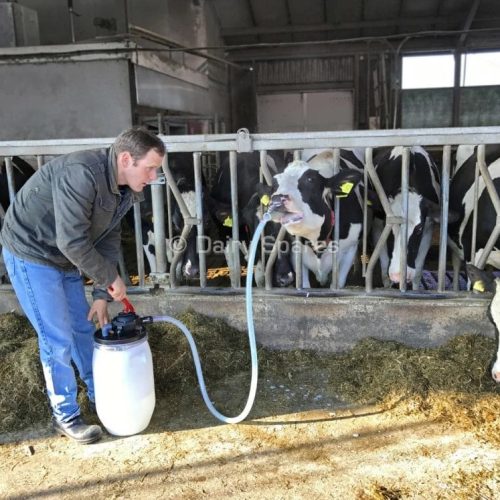 Cow Drencher