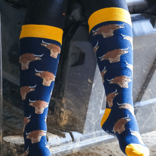 Country Moos Highland Cow Extra Long Socks