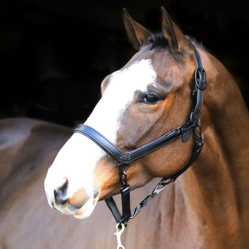 Liveryman Clipping Halter - Black
