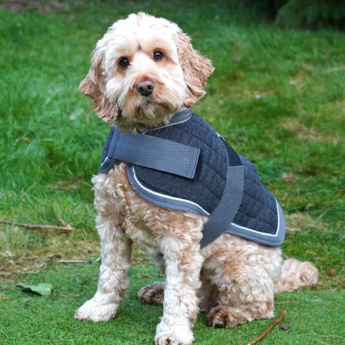 Mackey Thermo Dog Rug