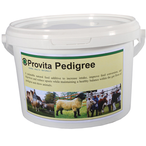 Provita Pedigree