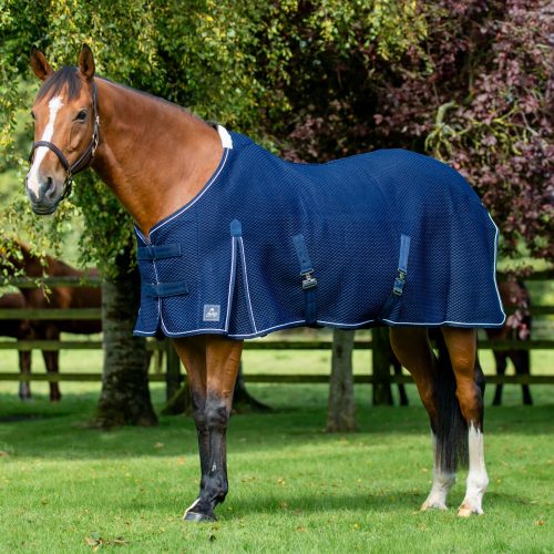 Shannon Air Cooler - Navy