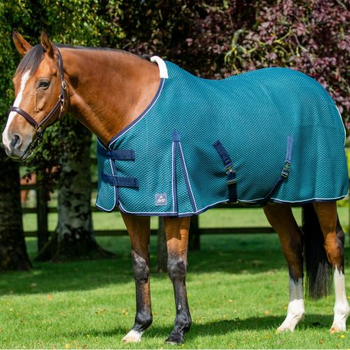 Shannon Air Cooler - Petrol