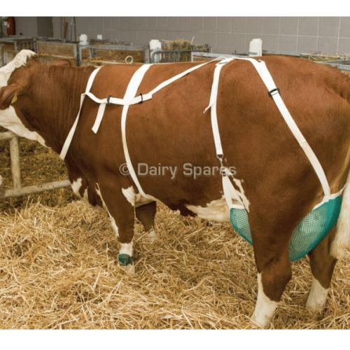 Udder Support Net