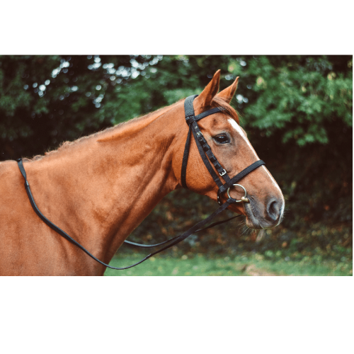 Equisential Nylon Reins