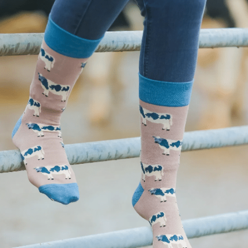 Country Moos Belgium Blue Crew Socks