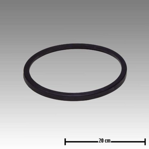 GEA Westfalia sanitary trap lid seal 22L