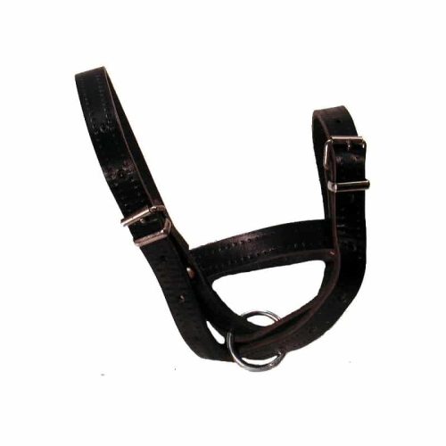 Leather show halter and lead for sheep - black