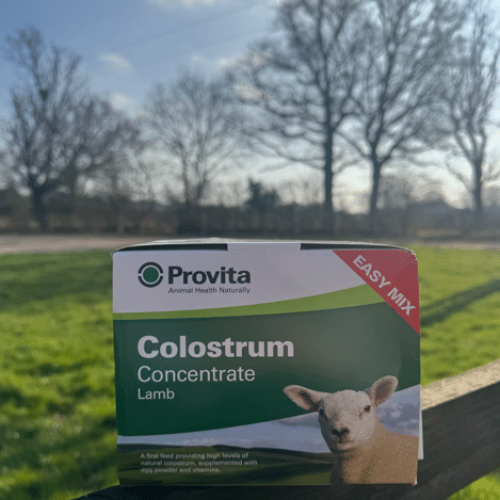 Provita Lamb Colostrum 12 x 50g sachets