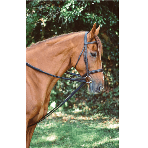 Equisential Padded Draw Reins